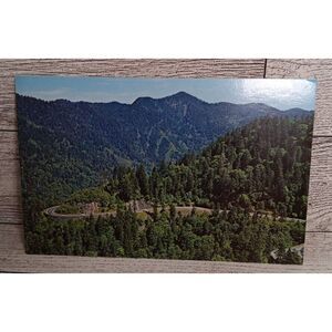 Vintage Postcard Highway U.‎ S. 441 Great Smoky Mountains National Park Ephemera